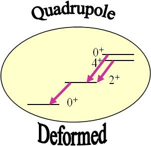 deformed quadrupole