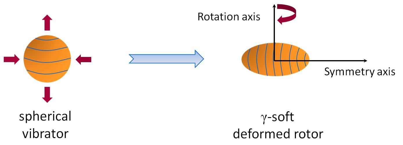 transitional nuclei