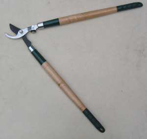 To cut branches from a tree