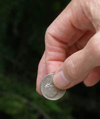 About to drop a nickel