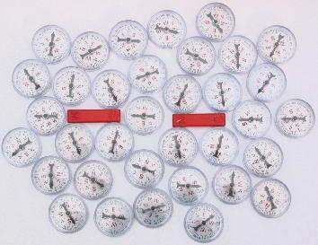 bar magnets and compasses