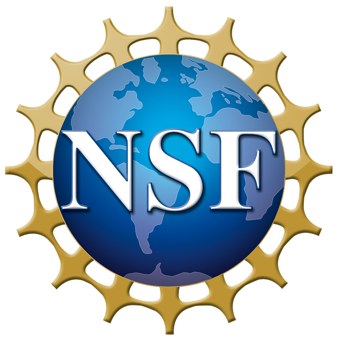 NSF.png